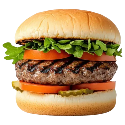 Grilled Burger